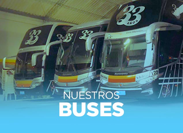 Nuestros buses